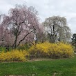 Hart’s Brook Park and Preserve