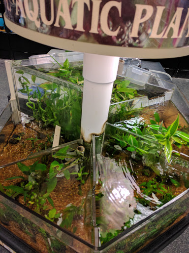 Pet Supply Store «Petco Animal Supplies», reviews and photos, 8700 Preston Rd #105, Plano, TX 75024, USA