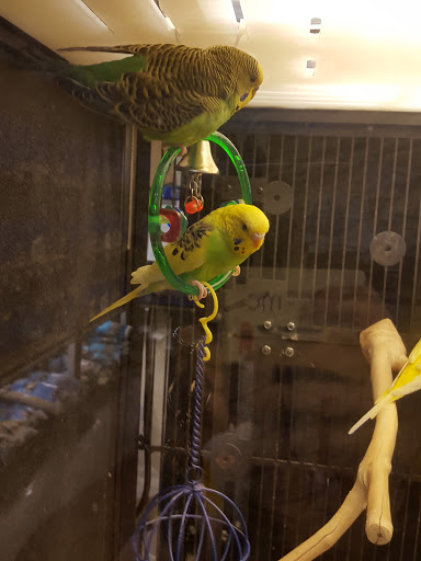 Pet Supply Store «PetSmart», reviews and photos, 482 Stillwater Ave Ste 2A, Bangor, ME 04401, USA