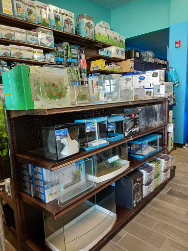 Tropical Fish Store «Aquatic Wildlife Co», reviews and photos, 70 Buckland Rd, South Windsor, CT 06074, USA