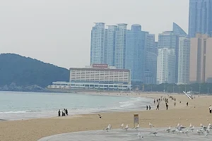 Haeundae Beach image