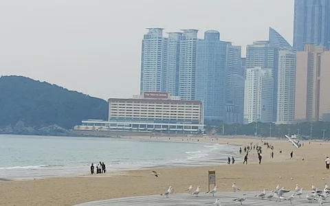 Haeundae Beach image
