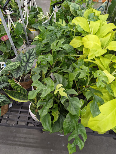 Home Improvement Store «The Home Depot», reviews and photos, 160 Laconia Rd, Tilton, NH 03276, USA