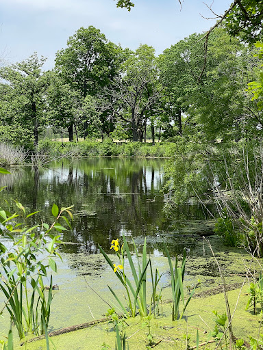 Nature Preserve «Crabtree Nature Center», reviews and photos, 3 Stover Rd, Barrington, IL 60010, USA