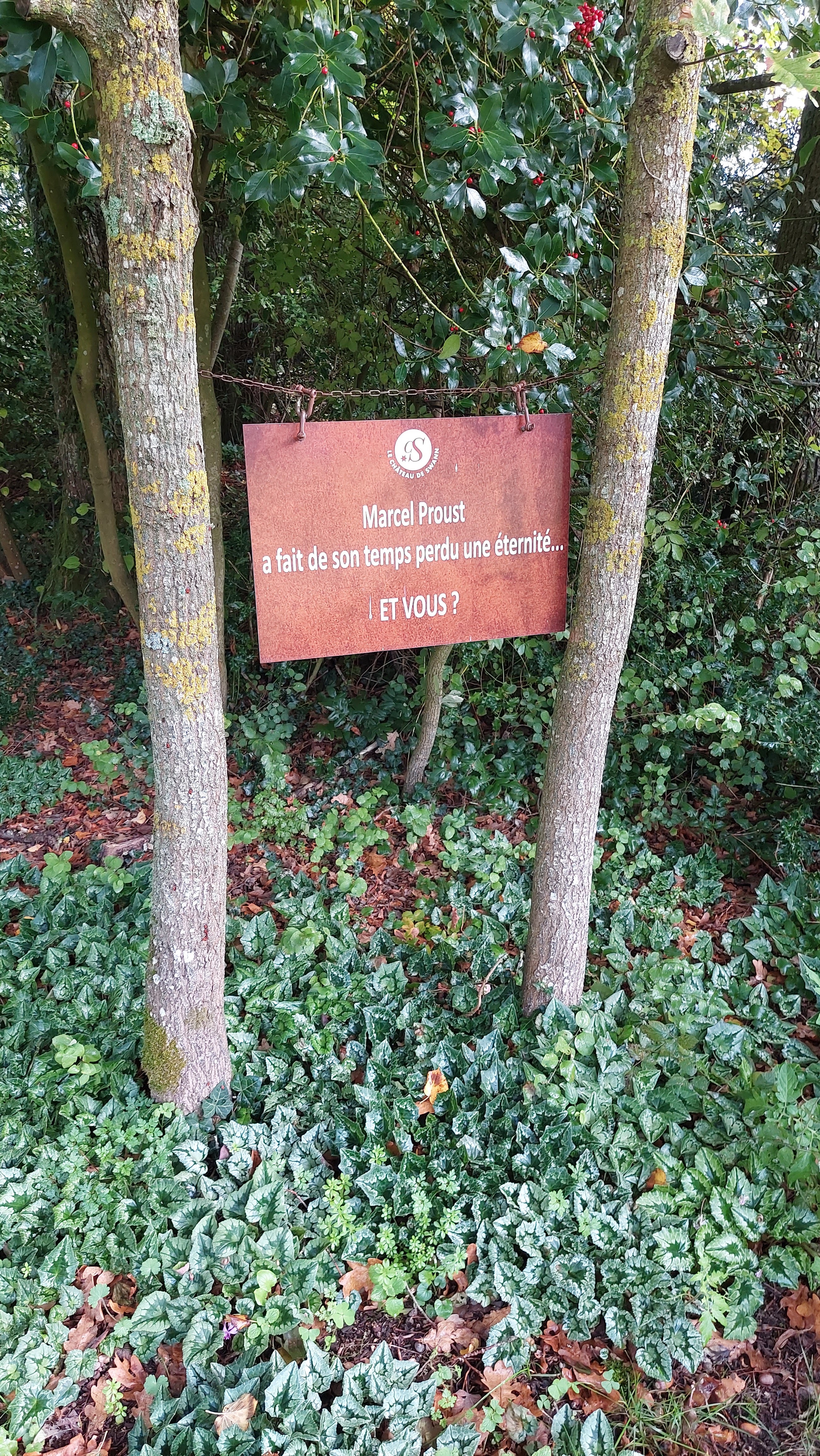 Photo n° 26 de l'avis de Christophe.A fait le 12/11/2022 à 19:59