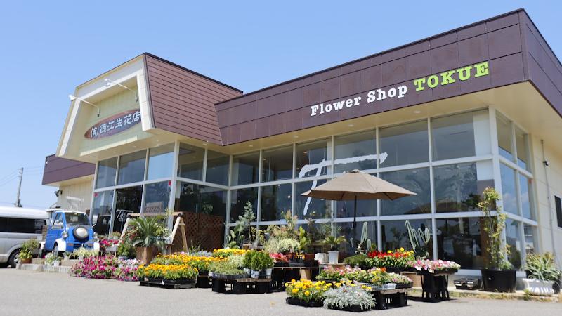 Flower Shop TOKUE (有)徳江生花店