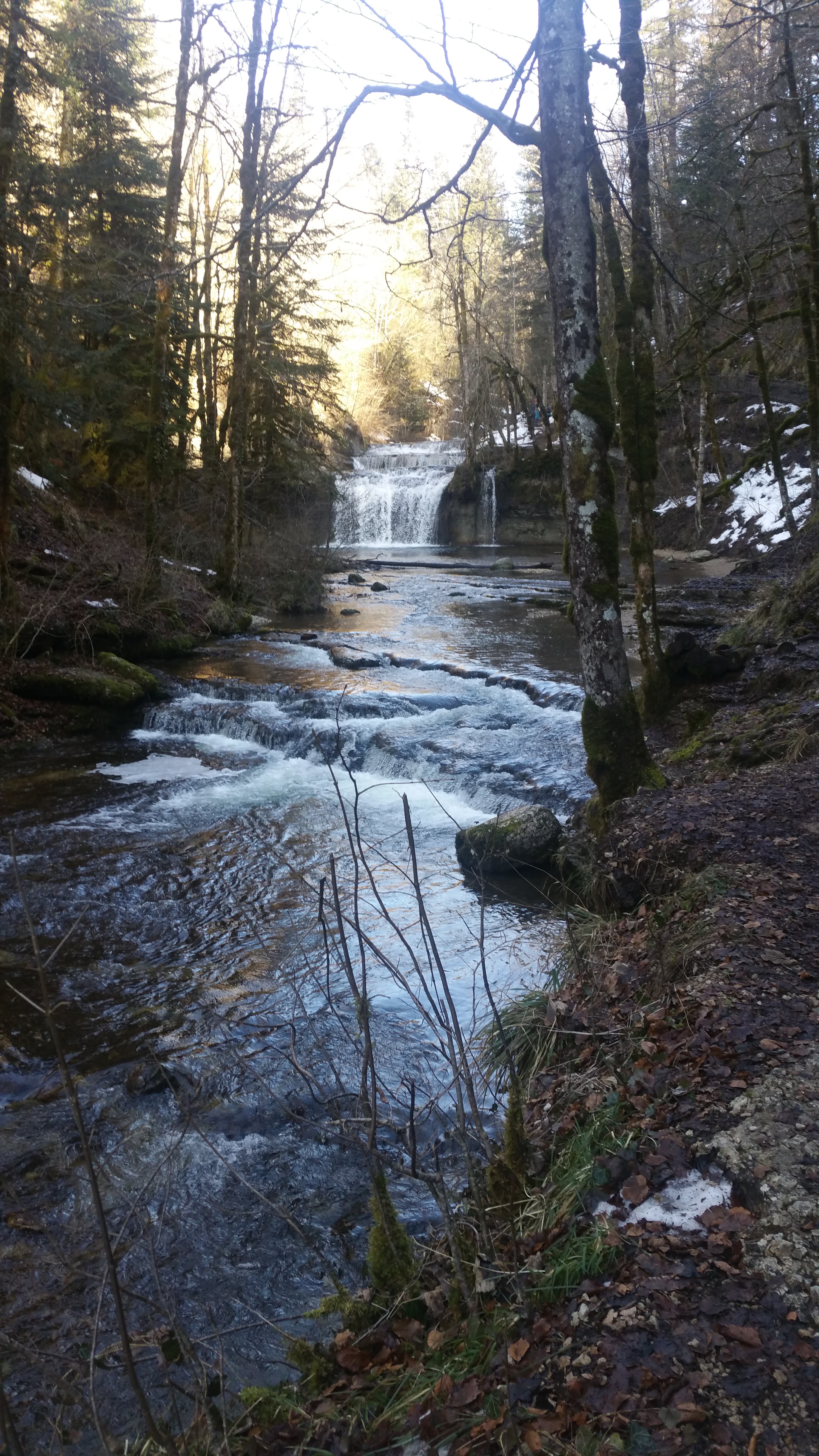 Photo n° 3 de l'avis de Marie.a fait le 19/02/2019 à 18:35