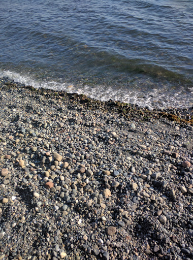 Park «Marine View Park», reviews and photos, 20945 Marine View Dr SW, Normandy Park, WA 98166, USA