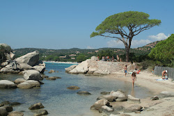 Zdjęcie Plaża Palombaggia poparte klifami