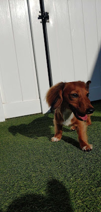 The Playground at LVCC - Photo 8 - Car repair in Lafayette, LA, Lafayette
