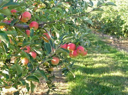 Apple Acres Orchard