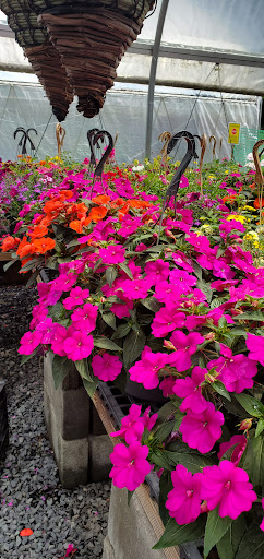 Farm «Ashley Turkey Farm», reviews and photos, 25 Hillside Ave, Flanders, NJ 07836, USA