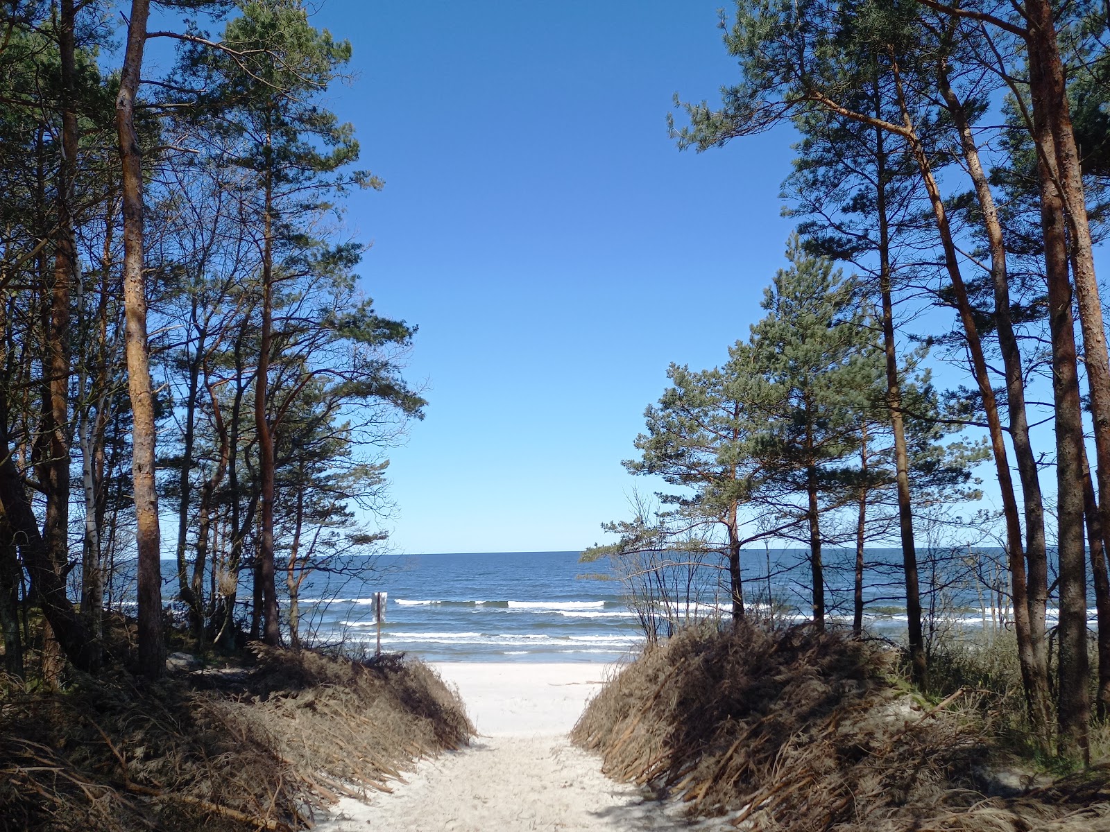 Photo of Katy Rybackie ent 44 with long straight shore