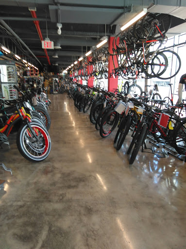 Bicycle Store «Miami Beach Bicycle Center», reviews and photos, 746 5th St, Miami Beach, FL 33139, USA