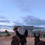 Photo n°1 de l'avis de João.o fait le 24/04/2022 à 21:34 sur le  Hotel Rural Srª de Pereiras à Vimioso