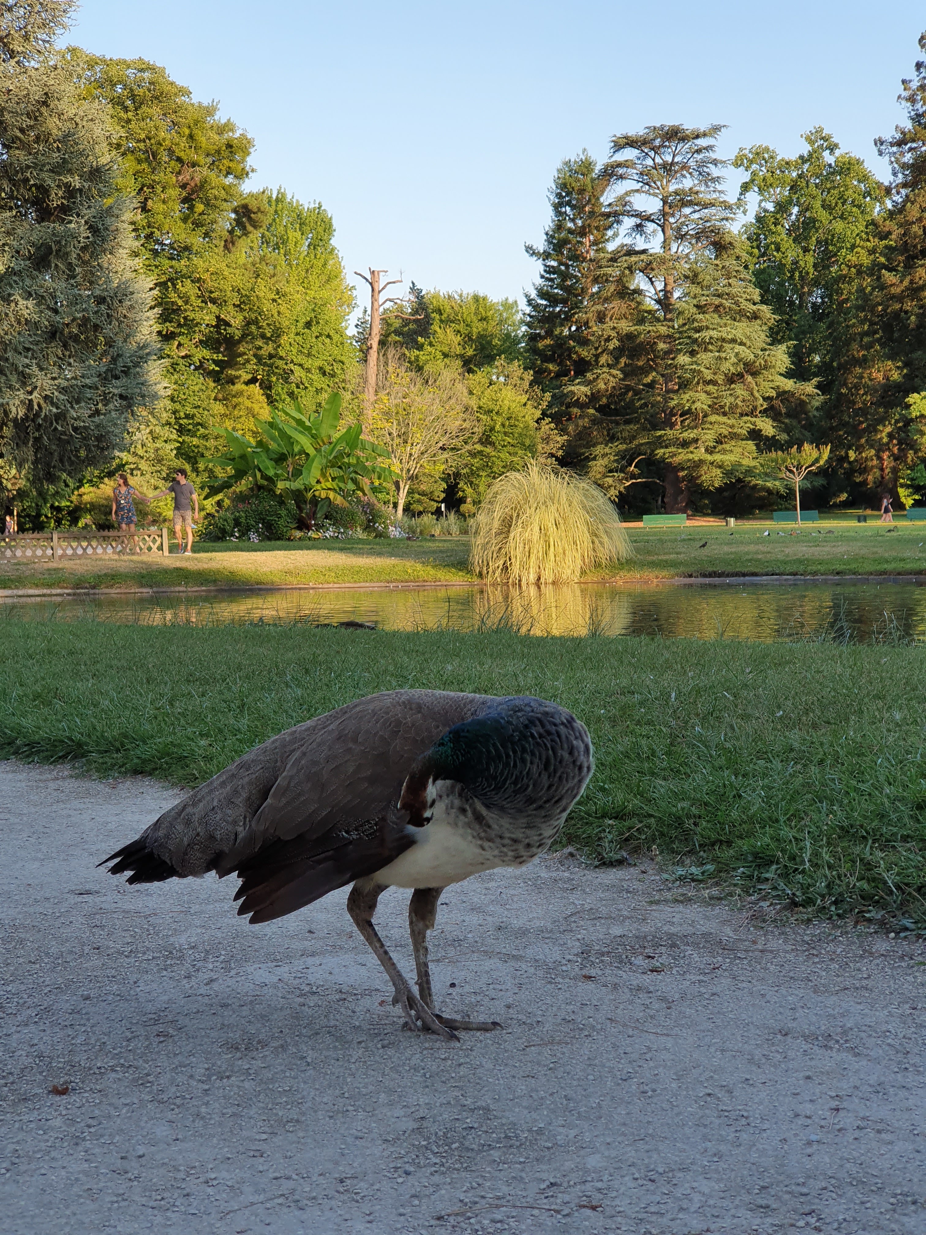 Photo n° 4 de l'avis de Guillaume. fait le 03/08/2019 à 21:31