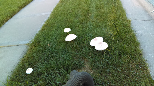 Golf Course «Creekmoor Golf Course», reviews and photos, 1112 East 163rd Street,, Raymore, MO 64083, USA