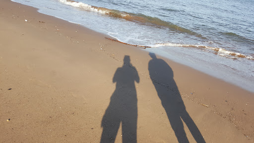 Monument «Fountain of the Dolphins», reviews and photos, 378 Sand Ln, Staten Island, NY 10305, USA