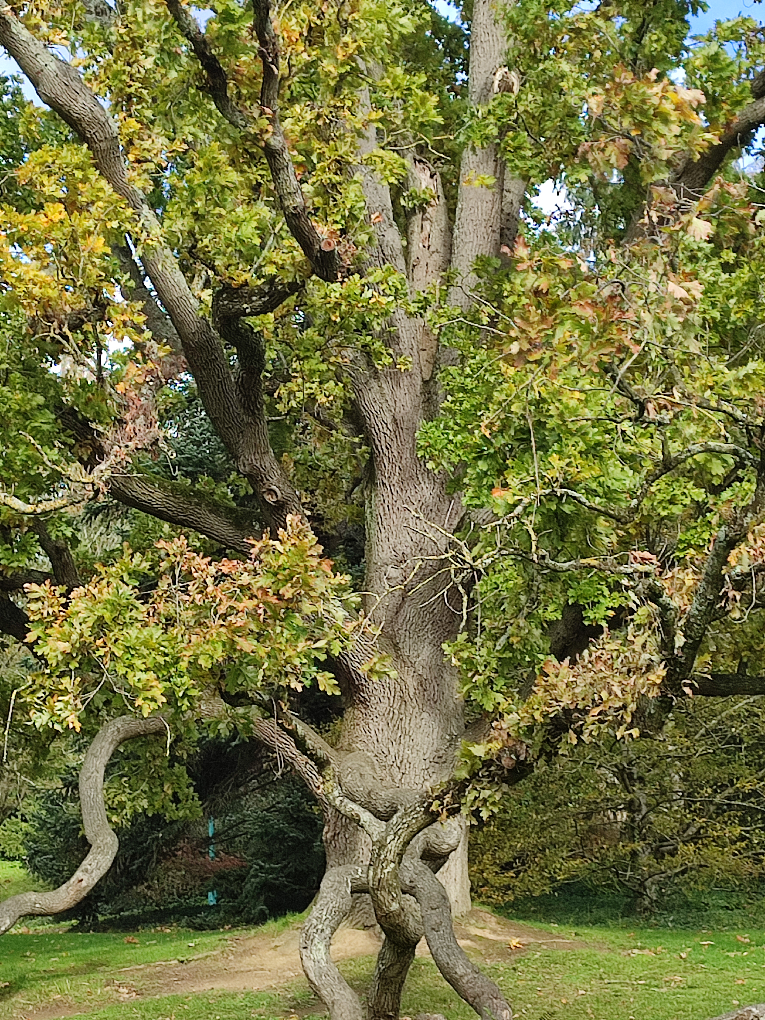Photo n° 5 de l'avis de ouzé.e fait le 10/11/2023 à 14:34