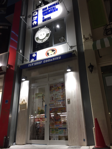 ペットショップCoo&RIKU 神戸三宮店