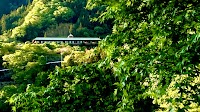 社会福祉法人ペレンナトリリアム シェステやまの花