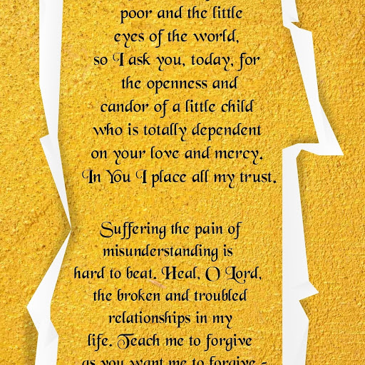 Thrift Store «St. Vincent de Paul Thrift Stores Orlando», reviews and photos, 770 S Orange Blossom Trail, Apopka, FL 32703, USA