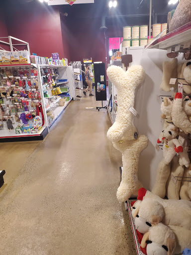 Pet Supply Store «One of the Family Pet Supply LLC», reviews and photos, 288 Lincoln Blvd, Middlesex, NJ 08846, USA