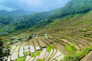 Batad Rice Terraces image