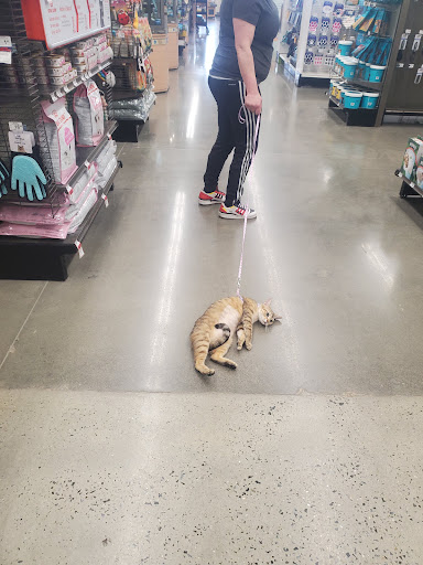 Petco