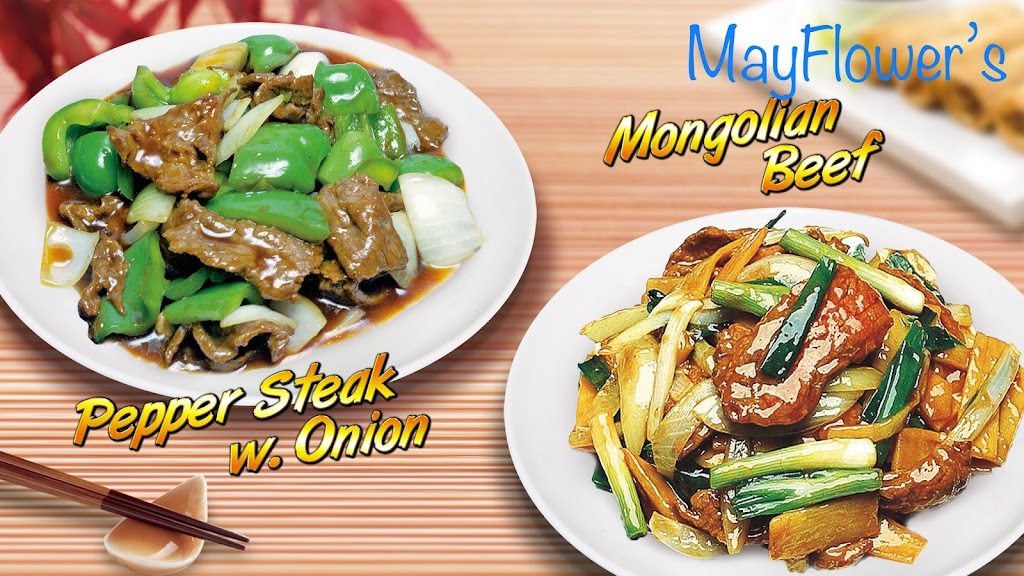 Mayflower Spring City 19475