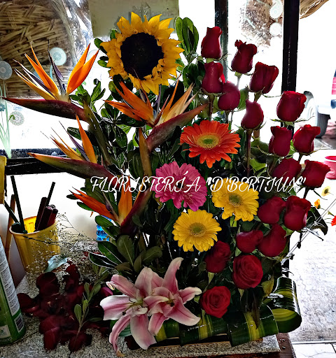 Floristeria D’ Bertiux – Pachuca