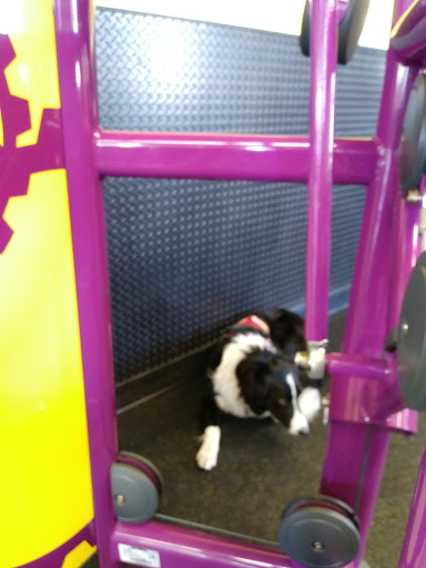 Gym «Planet Fitness», reviews and photos, 145 Marginal Way, Portland, ME 04101, USA