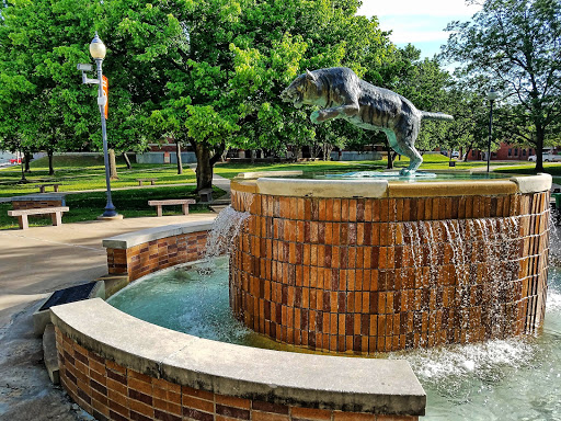 University «East Central University», reviews and photos