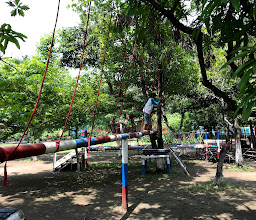 WISATA ALAS PRAMBON photo