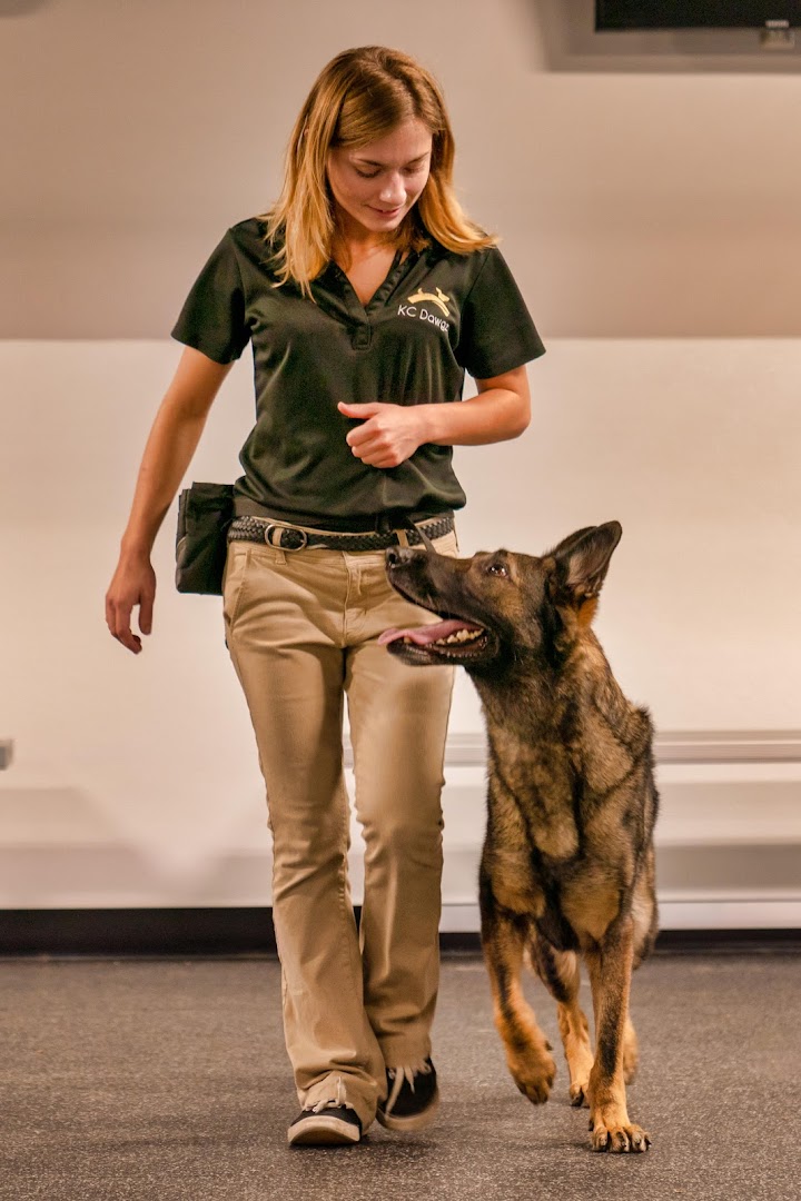 KC Dawgz Dog Training Academy