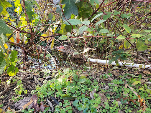 Plumber «Len The Plumber», reviews and photos, 550 Forest Glen Rd, Silver Spring, MD 20901, USA