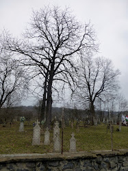 Somoskői temető