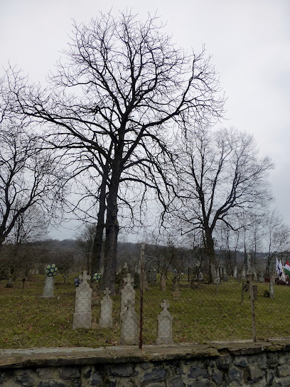 Somoskői temető