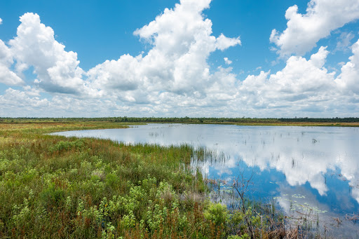 Nature Preserve «Buck Lake Conservation Area», reviews and photos, 4077 Cinnamon Teal Dr, Mims, FL 32754, USA