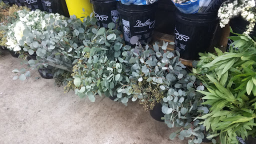 Florist «Nordlie Inc, - Detroit», reviews and photos, 25300 Guenther, Warren, MI 48091, USA