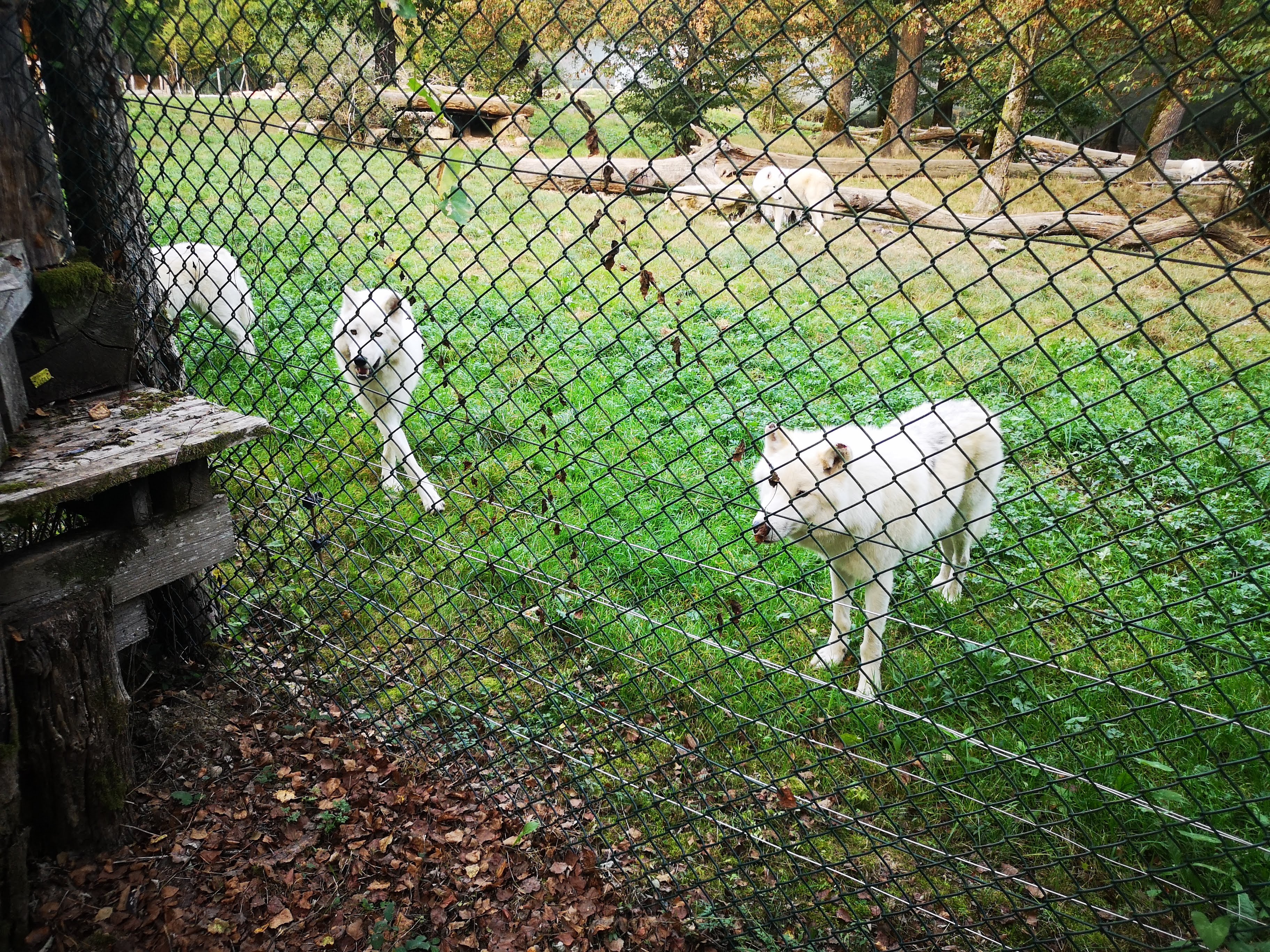 Photo n° 3 de l'avis de Jean-frederik.o fait le 14/10/2023 à 20:19
