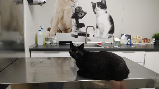 Centro Veterinario Navas en Barcelona