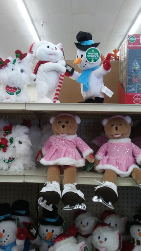 Discount Store «Big Lots», reviews and photos, 825 W Centerville Rd, Garland, TX 75041, USA