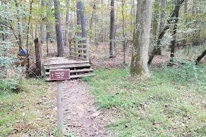 Hollow Rock Nature Park