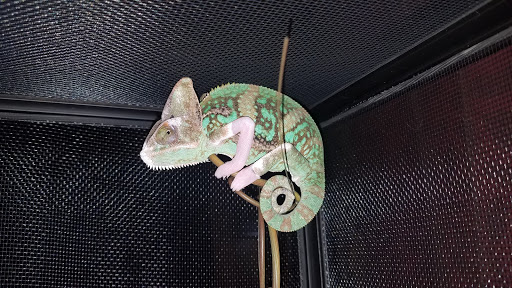 Pet Supply Store «Petco Animal Supplies», reviews and photos, 3835 Phoenix Ave, Fort Smith, AR 72903, USA