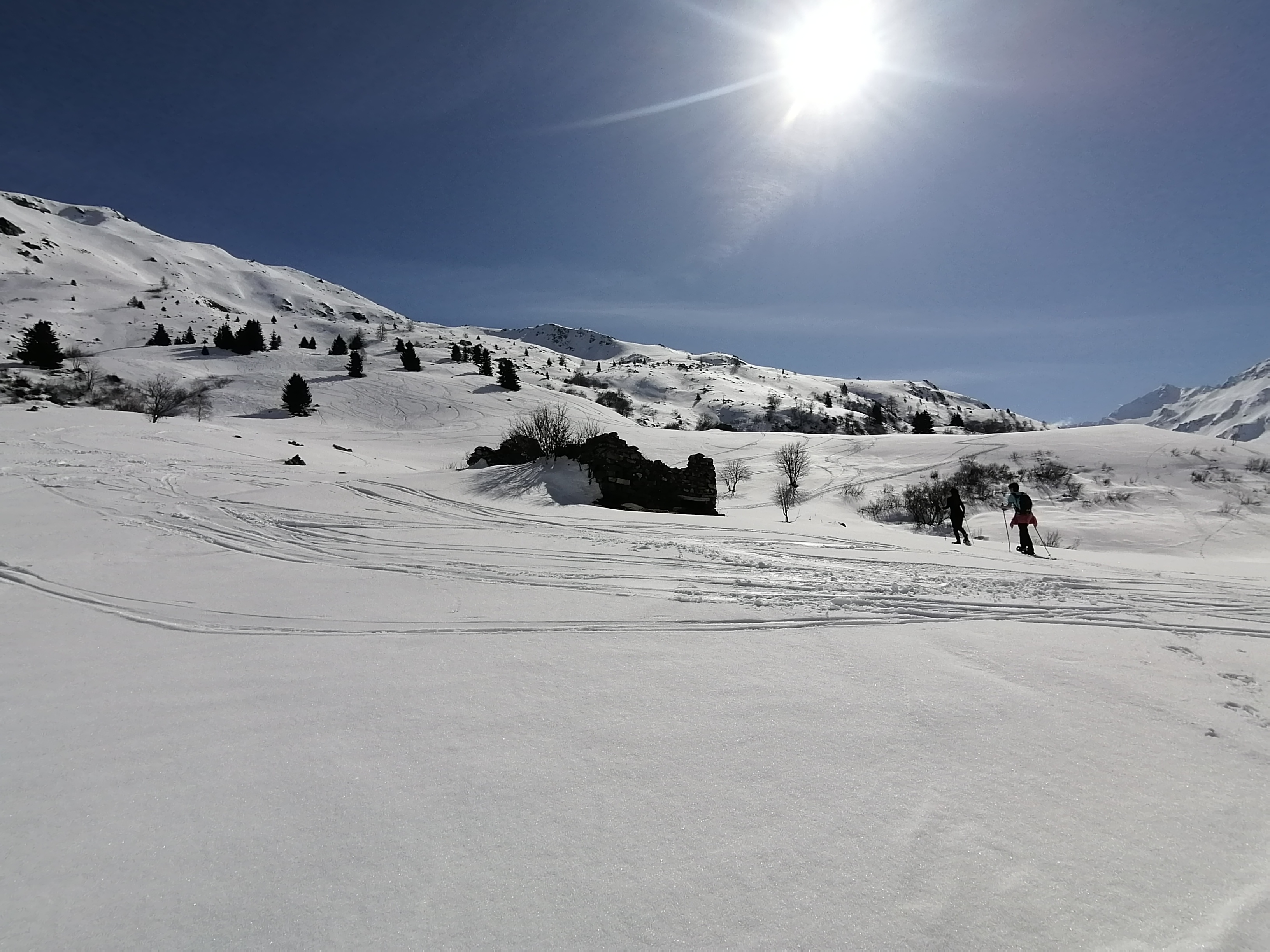 Photo n° 1 de l'avis de Sottiaux.e fait le 17/03/2024 à 13:32