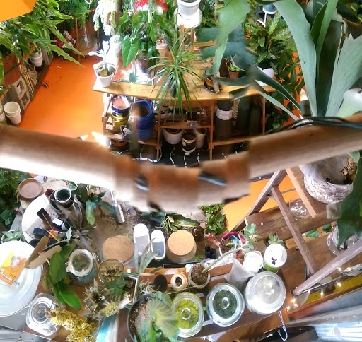 Movie Studio «Monorchid Creative Studios / Event / Wedding Venue», reviews and photos, 214 E Roosevelt St, Phoenix, AZ 85004, USA