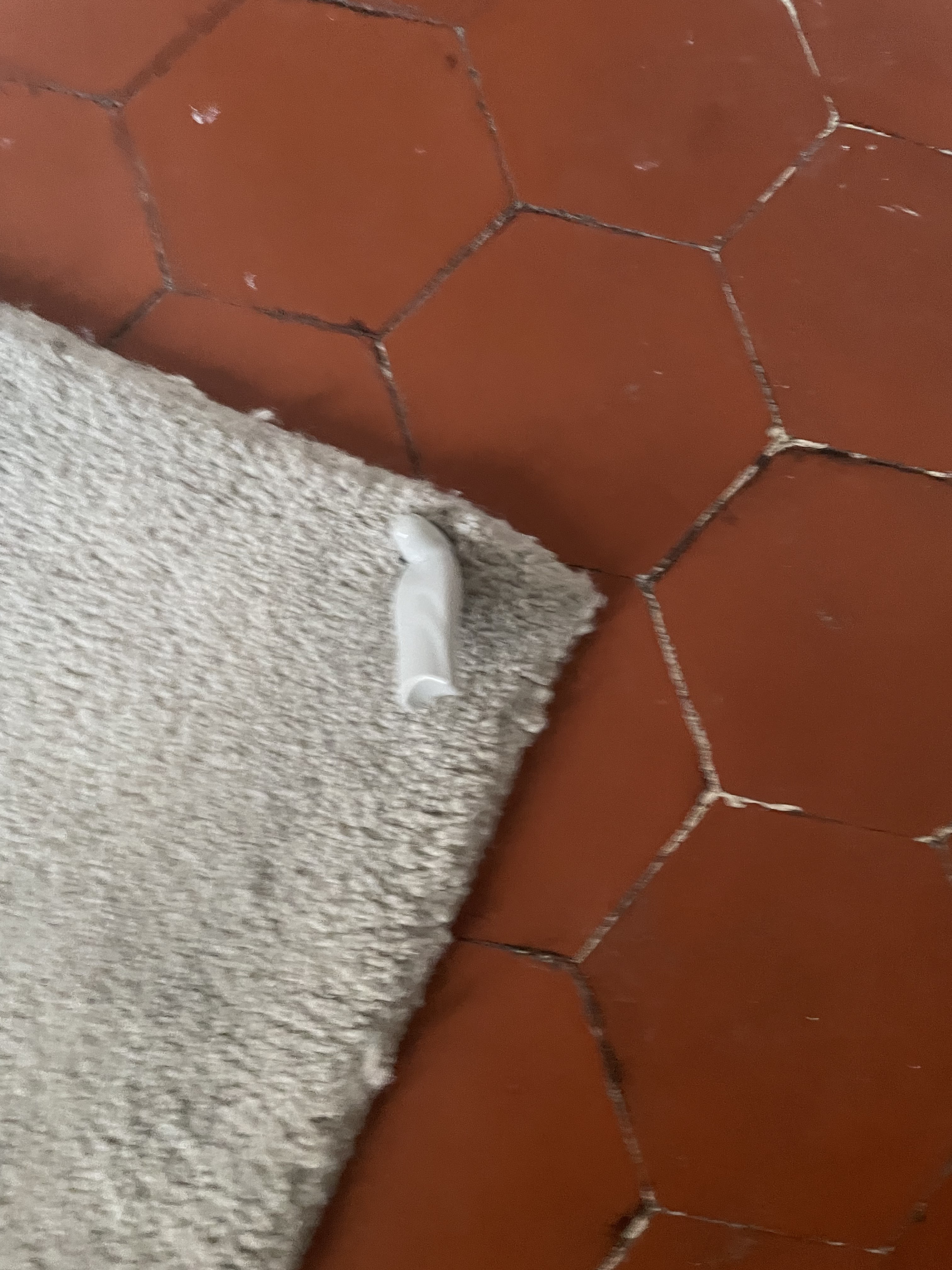 Photo n° 3 de l'avis de shitaro.a fait le 30/03/2024 à 17:55