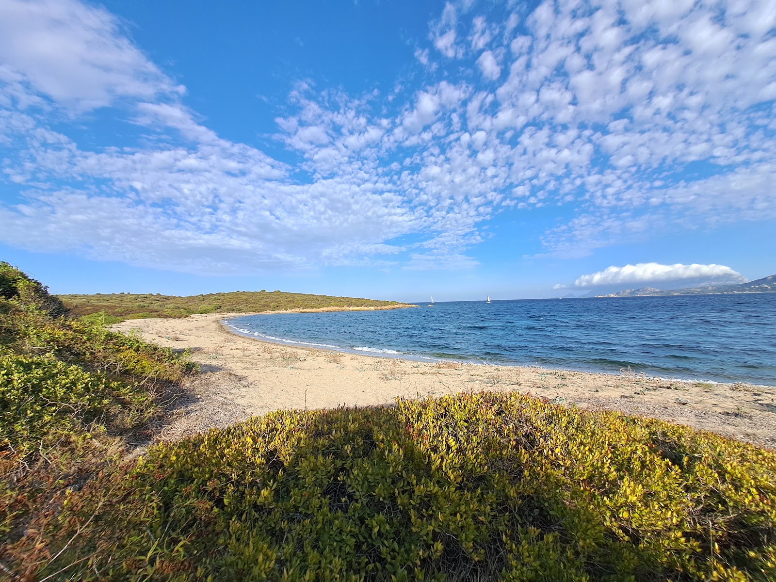 Foto van Vecchia Dogana Beach met beige zand oppervlakte