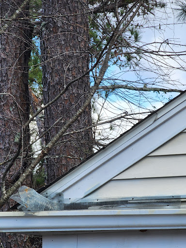 Pest Control Service «Attic Kings», reviews and photos